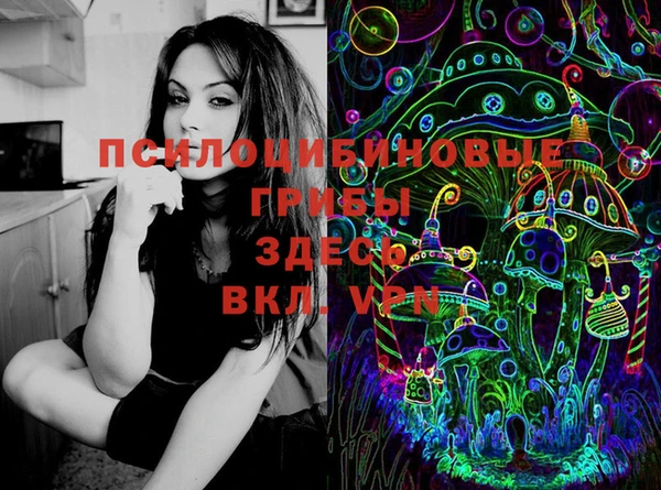 мяу мяу кристалл Костерёво