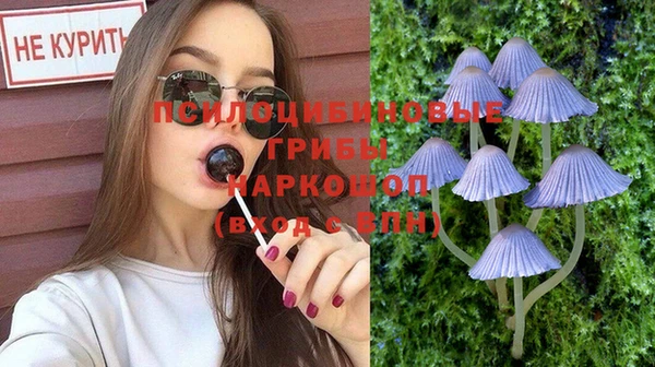 ALPHA PVP Корсаков