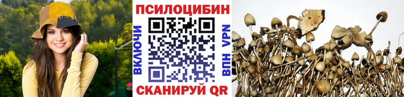 Галлюциногенные грибы Psilocybe  Купить закладки  Острогожск 