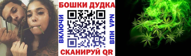 Конопля план  Купить  Острогожск 